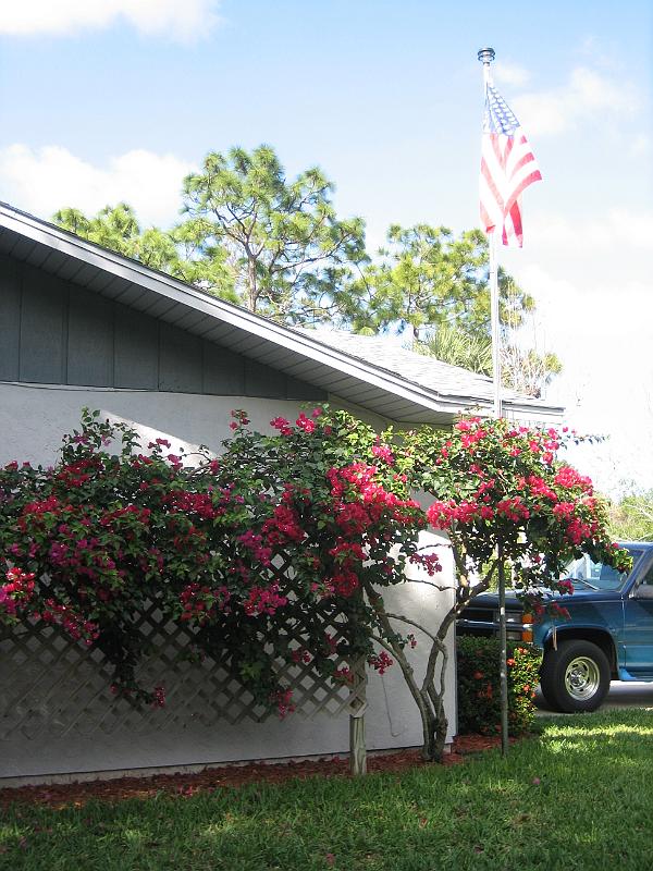 Picture 031